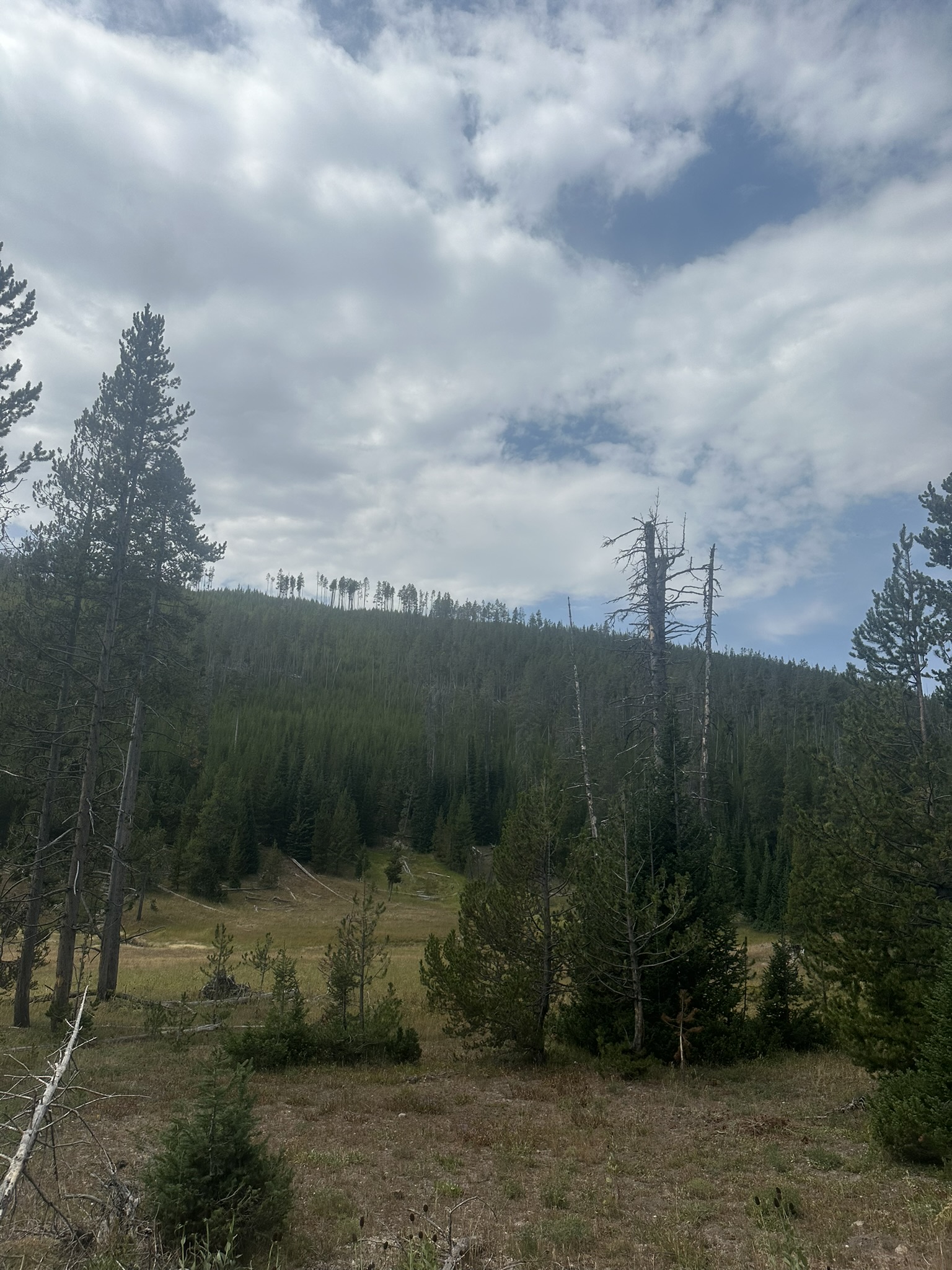 Yellowstone And Grand Teton National Parks - Image 668